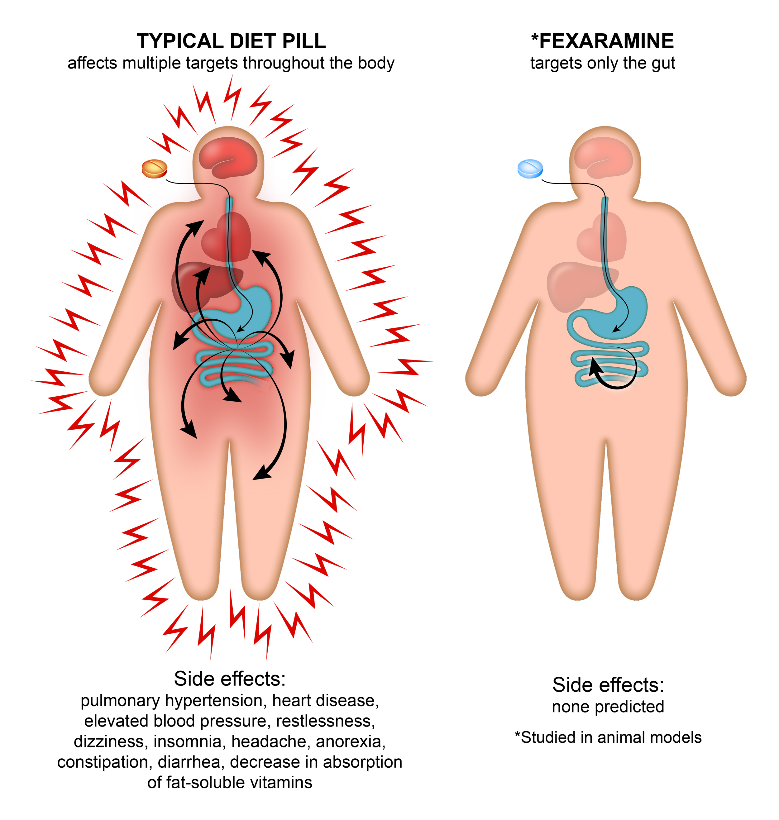 Top 10 Key Ways The Pros Use For Weightloss Pills