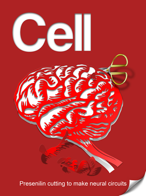 Cell Cover