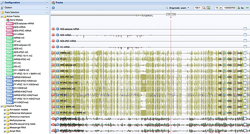 methylation profile