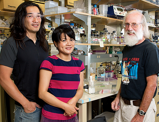 Gerald M. Pao, Wei Zhu, and Tony Hunter