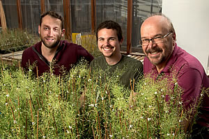 Robert J. Schmitz, Matthew D. Schultz and Joseph Ecker