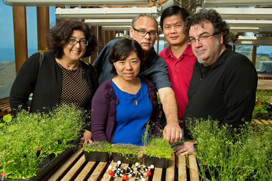 Joanne Chory, Yongxia Guo, Joseph Noel, Zuyu Zheng and James J. La Clair