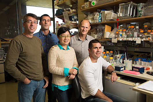 Ilir Dubova, Ignacio Sancho Martinez, Yun Xia, Juan Carlos Izpisua Belmonte and Emmanuel Nivet