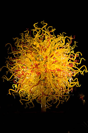 Chihuly Sun