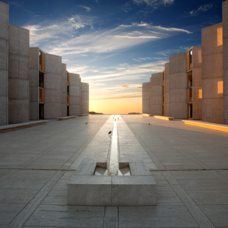 News - Salk Institute for Biological Studies