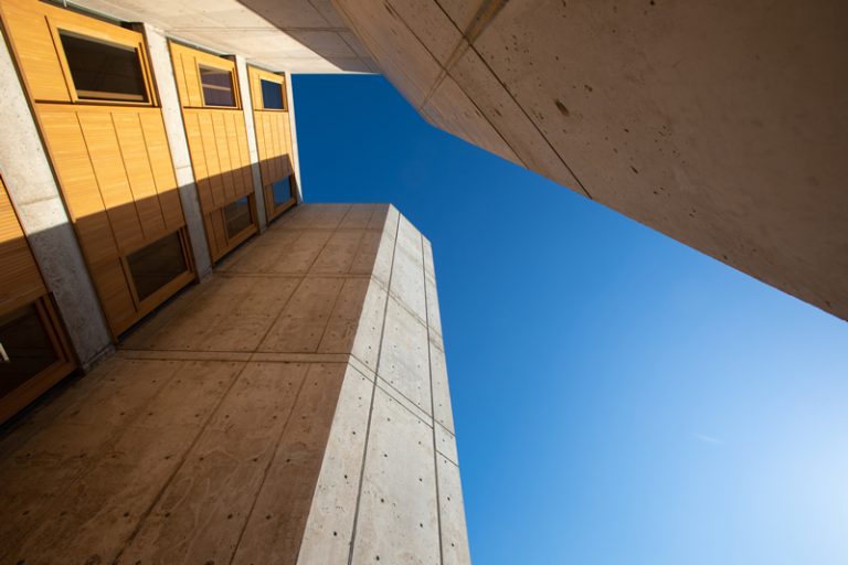 Salk Institute For Biological Studies