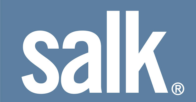 Site Visit / Louis Kahn's Salk Institute — Form + Field — San Francisco Bay  Area Interior Design Firm