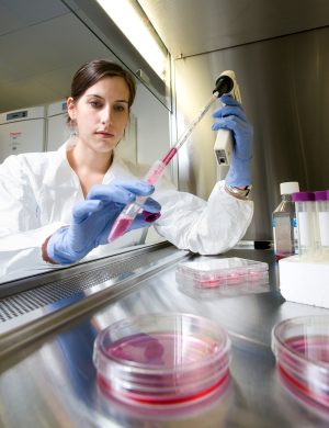 Salk scientists are leaders in developing stem cell-based models of human disease.