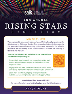 Rising Stars Flyer