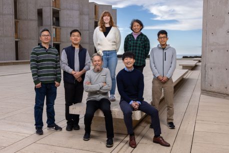 Standing from left: Weiwei Fan, Kyeongkyu Kim, Lillian Crossley, Gabriela Estepa, and Satoshi Ogawa. Sitting from left: Ronald Evans and Hunter Wang.