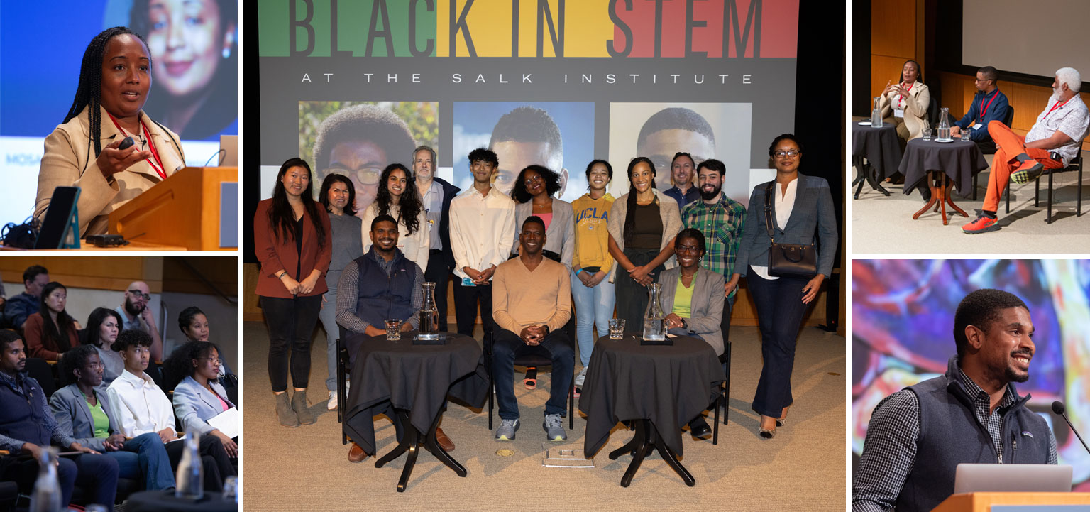 Black in STEM